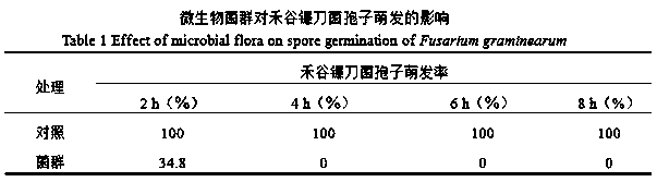 Microbial flora for preventing and treating wheat scab and separation method thereof