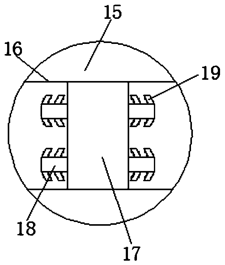 Extraction and separation device for vegetable oil production