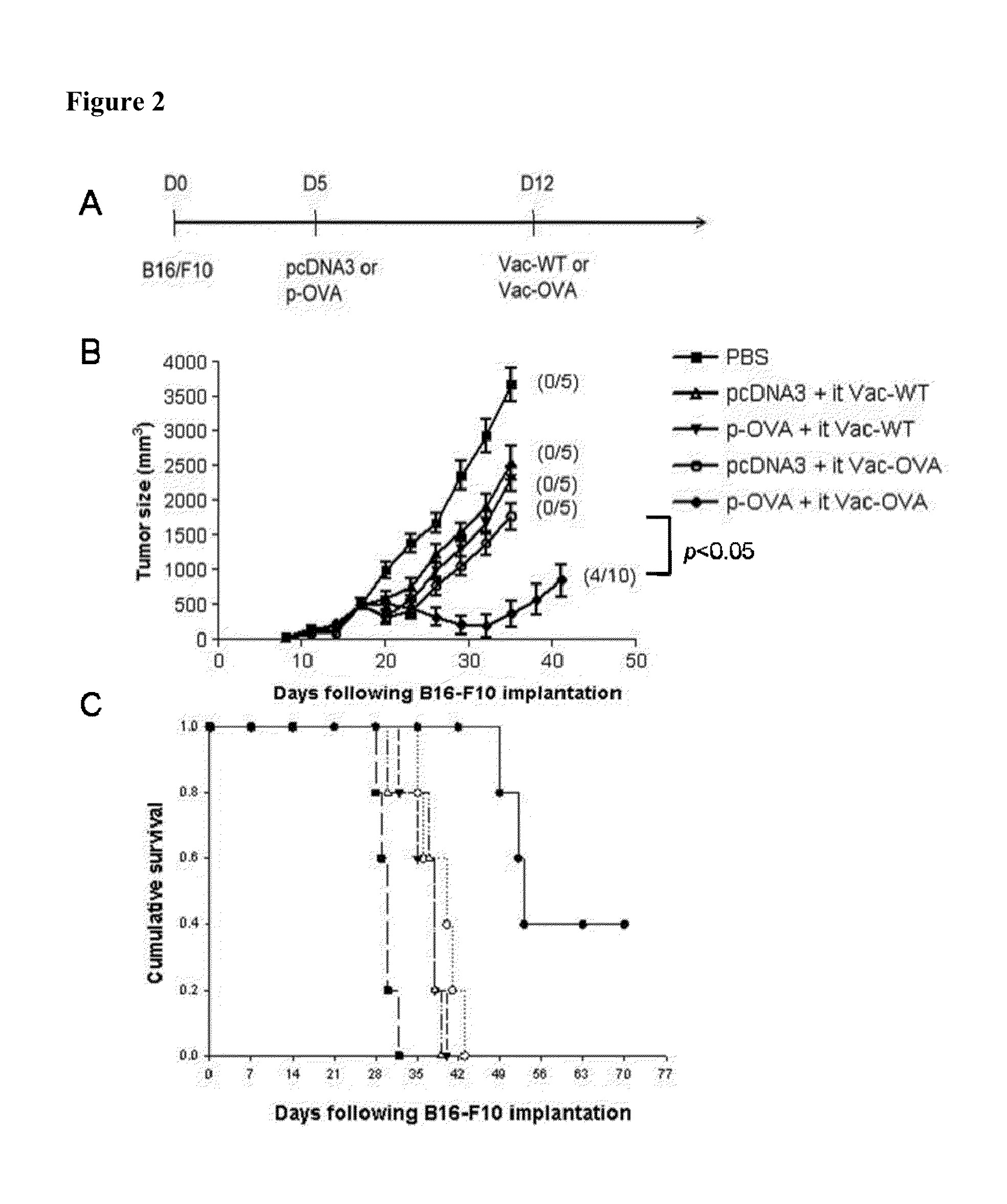 Compositions and methods for enhancing antigen-specific immune responses