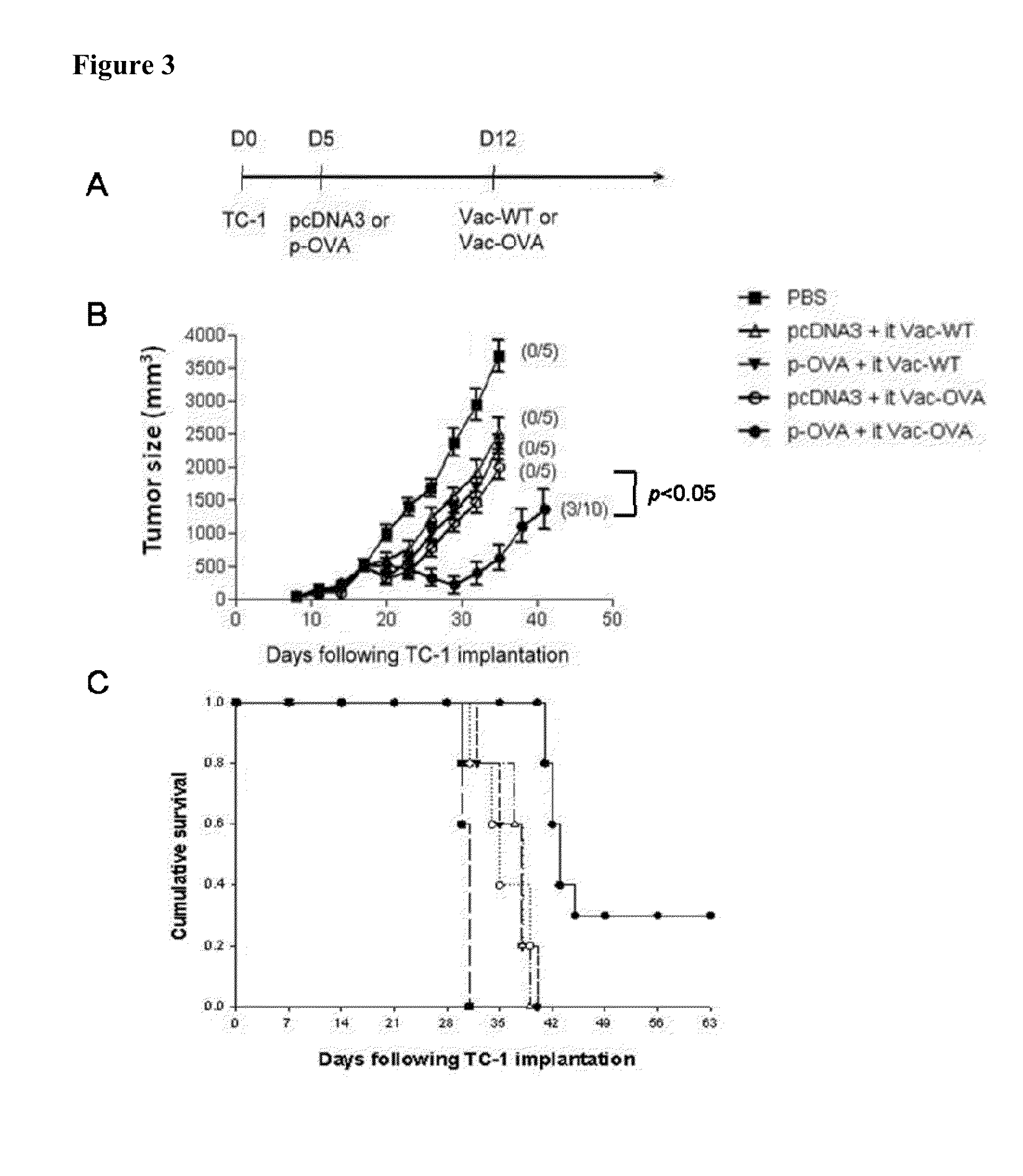 Compositions and methods for enhancing antigen-specific immune responses