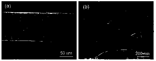 Continuous macroscopic graphene nanobelt fiber and preparation method thereof