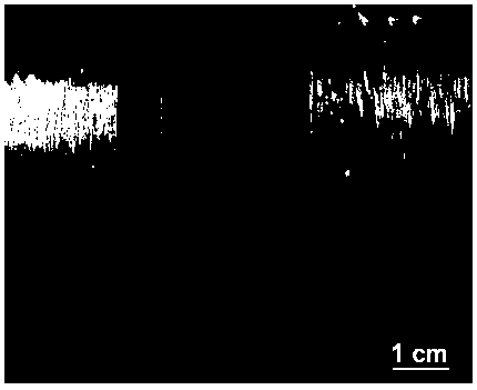 Continuous macroscopic graphene nanobelt fiber and preparation method thereof