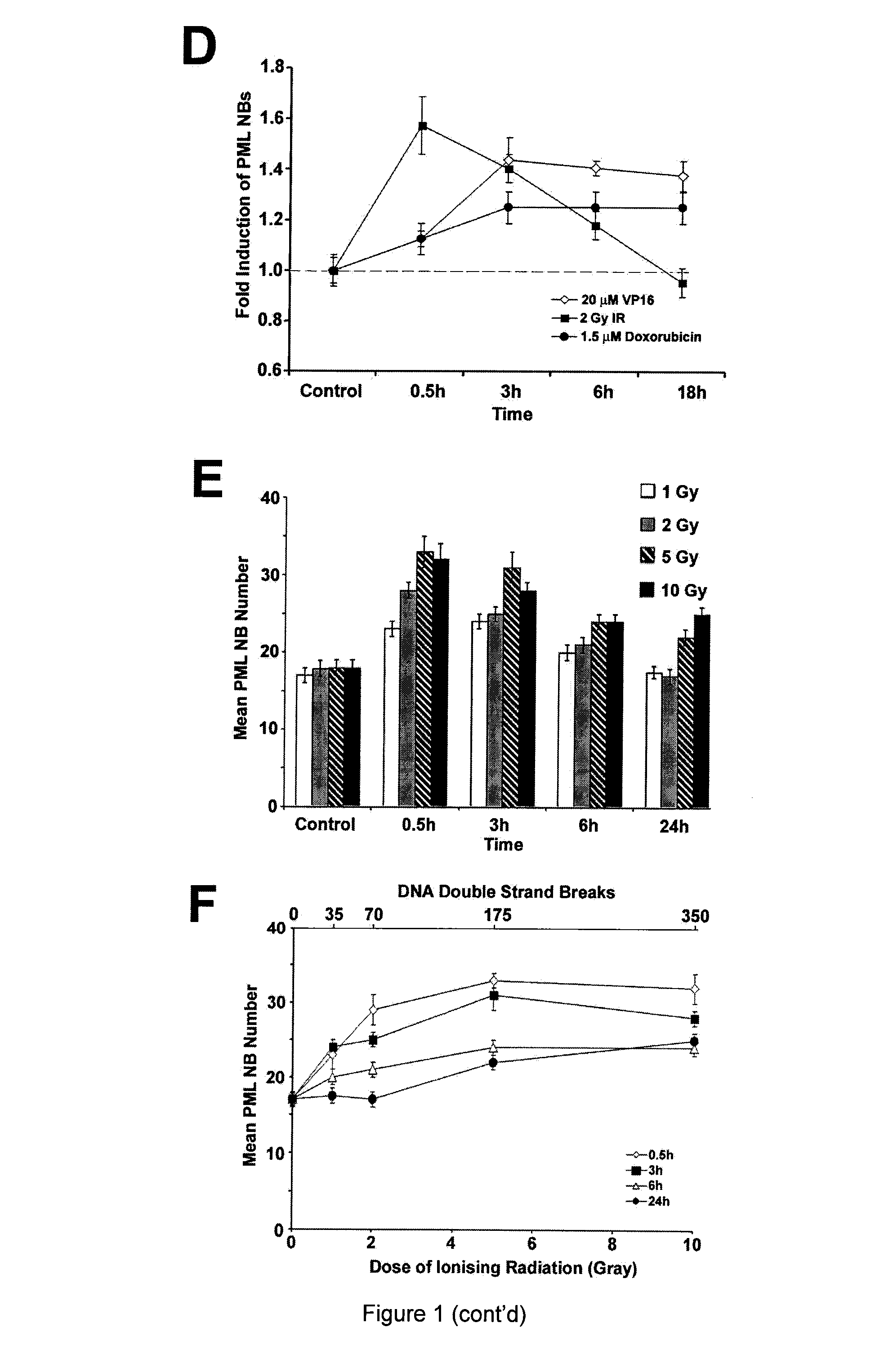 Methods for measuring cell response to DNA damaging agents using promyelocytic leukemia protein nuclear bodies