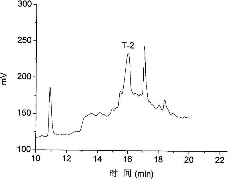 α-type Conus Polypeptide and Its Application