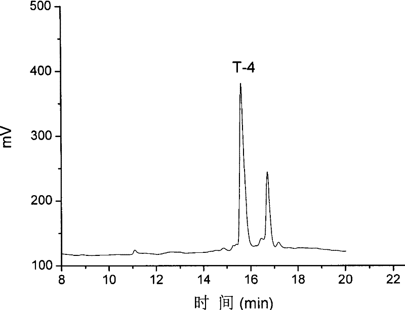 α-type Conus Polypeptide and Its Application