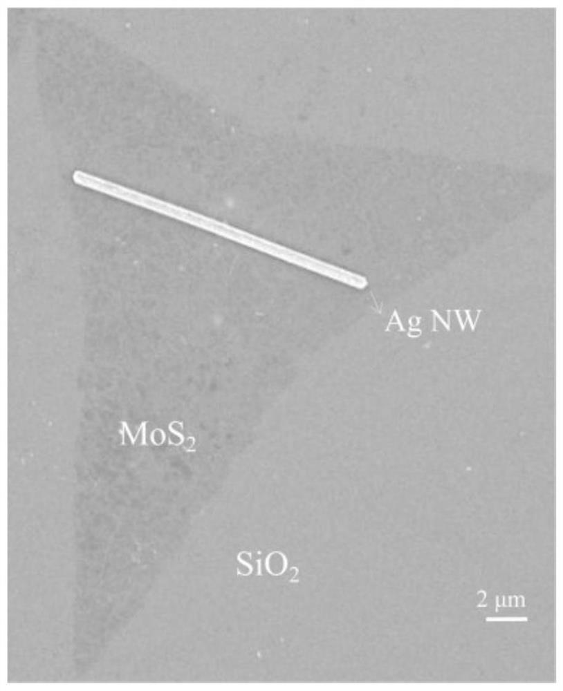 Molybdenum disulfide enhanced silver nanowire surface plasmon polariton transmission length substrate