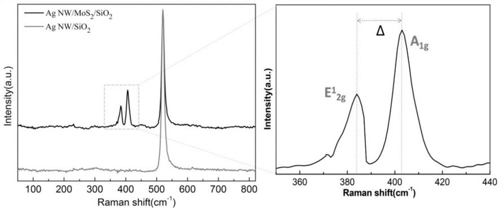 Molybdenum disulfide enhanced silver nanowire surface plasmon polariton transmission length substrate