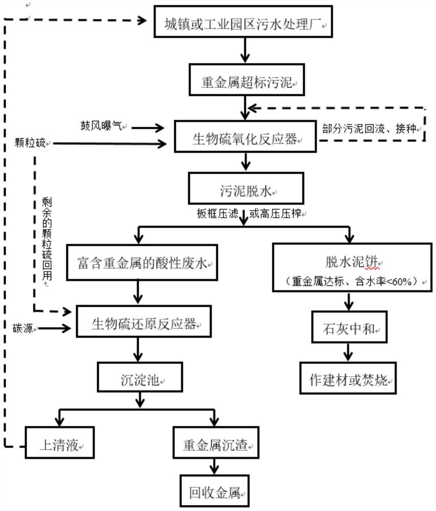 Treatment method for removing and recycling heavy metals in wastewater sludge based on biological sulfur circulation