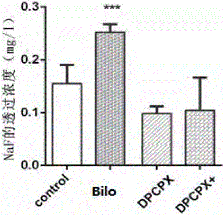 Application of bilobalide as synergist in preparation of drug for preventing cranial nerve injury diseases