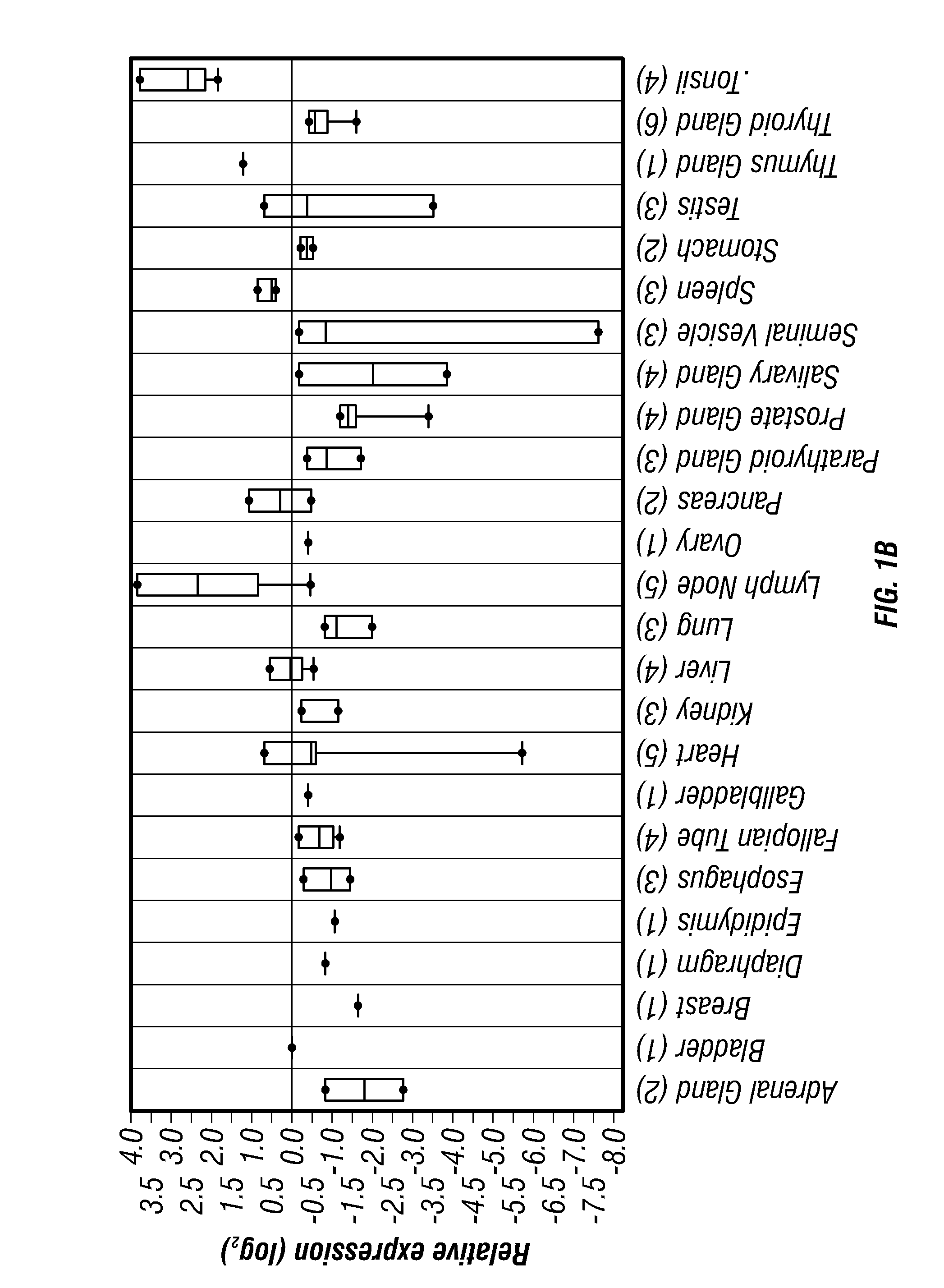 Tcl1 peptides for immunotherapy