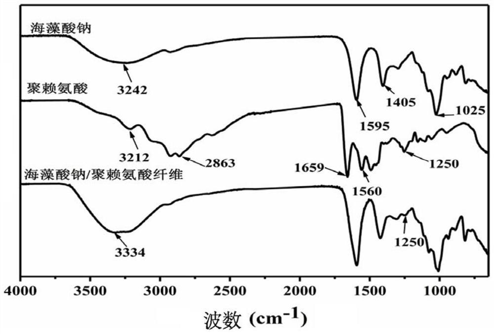 Size-controllable sodium alginate/polylysine self-assembled fiber