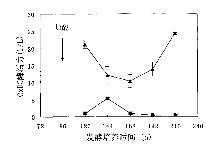 Method for inducing oxalate decarboxylase by coriolus versicolor cultured by corn stalk carbon source