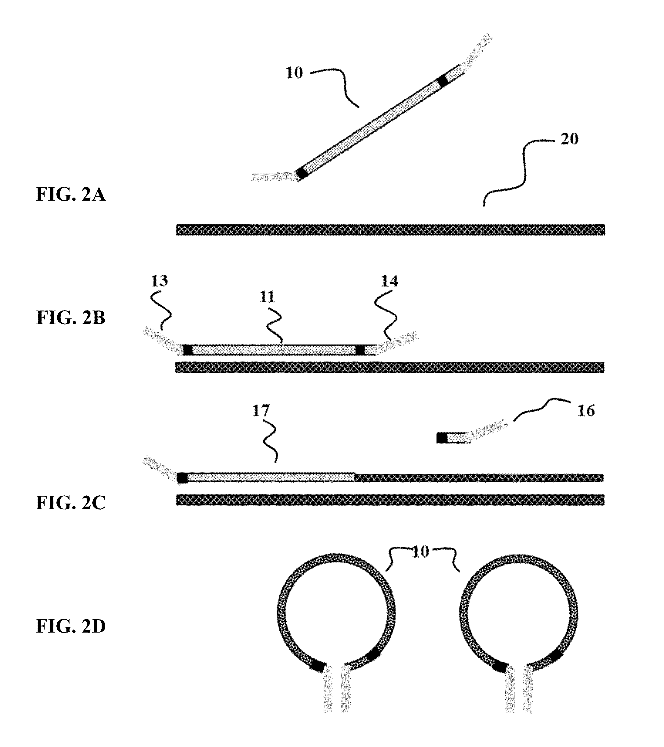 Cleavable hairpin primers