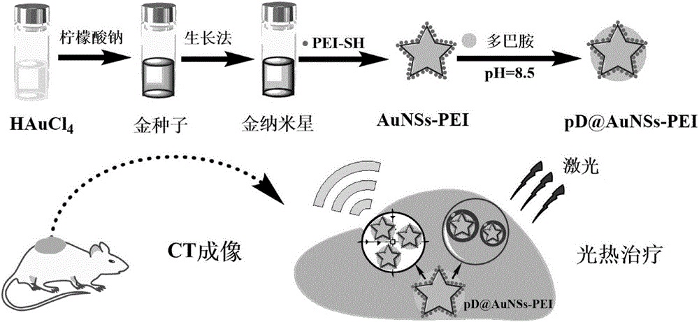 Preparation method for polydopamine-coated polyethyleneimine-stablized gold-nanometer-star photothermal treatment agent