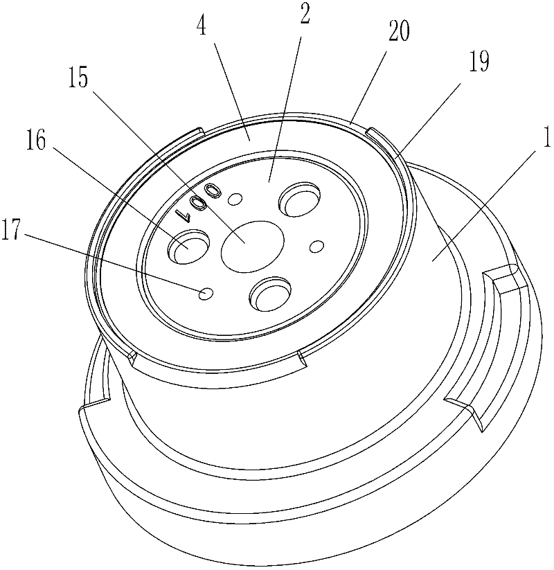 Combination cap for infusion