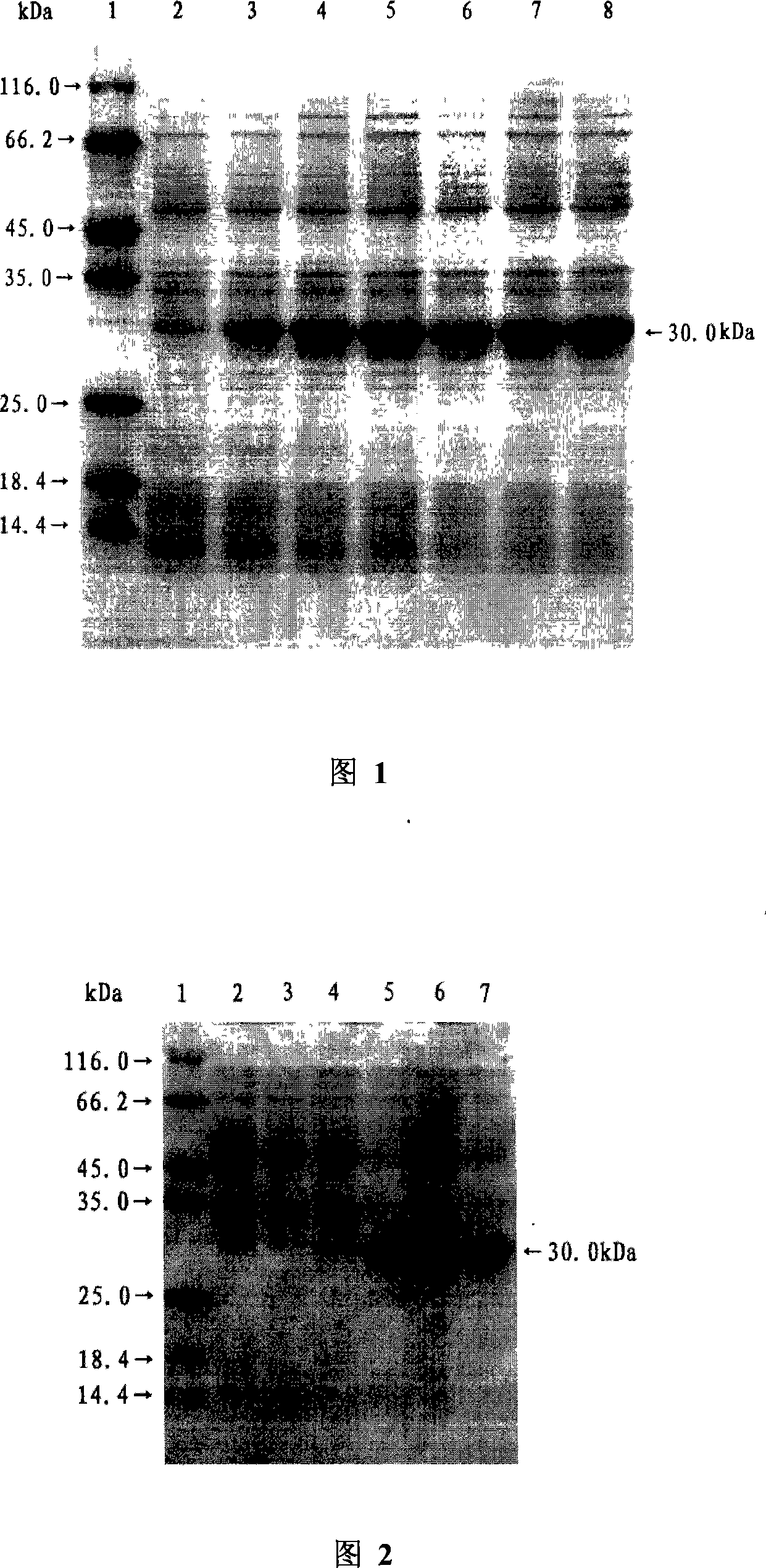 Di-carbonyl reduction enzyme, its gene and uses thereof