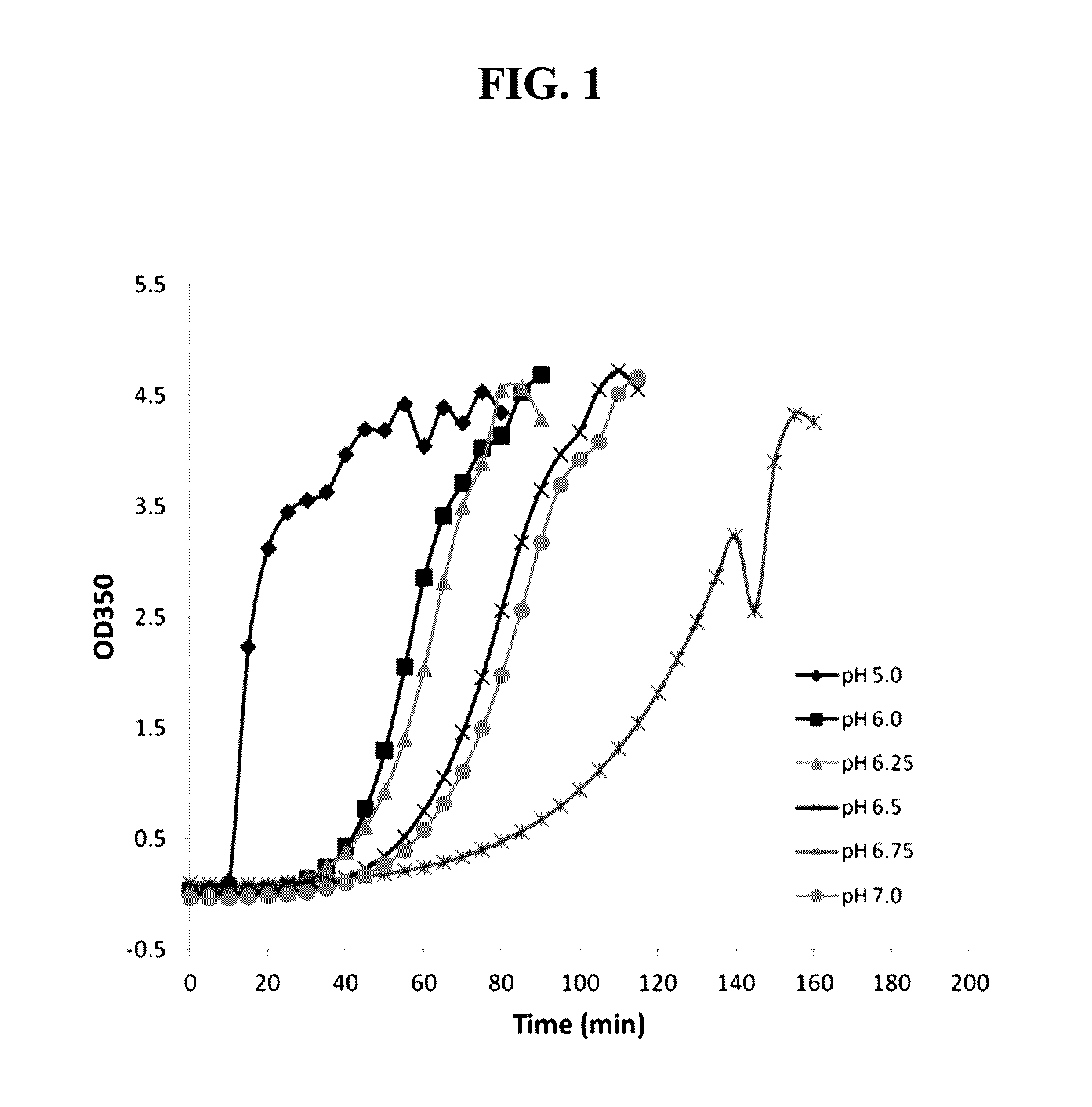 Stable protein solution formulation containing high concentration of an Anti-vegf antibody