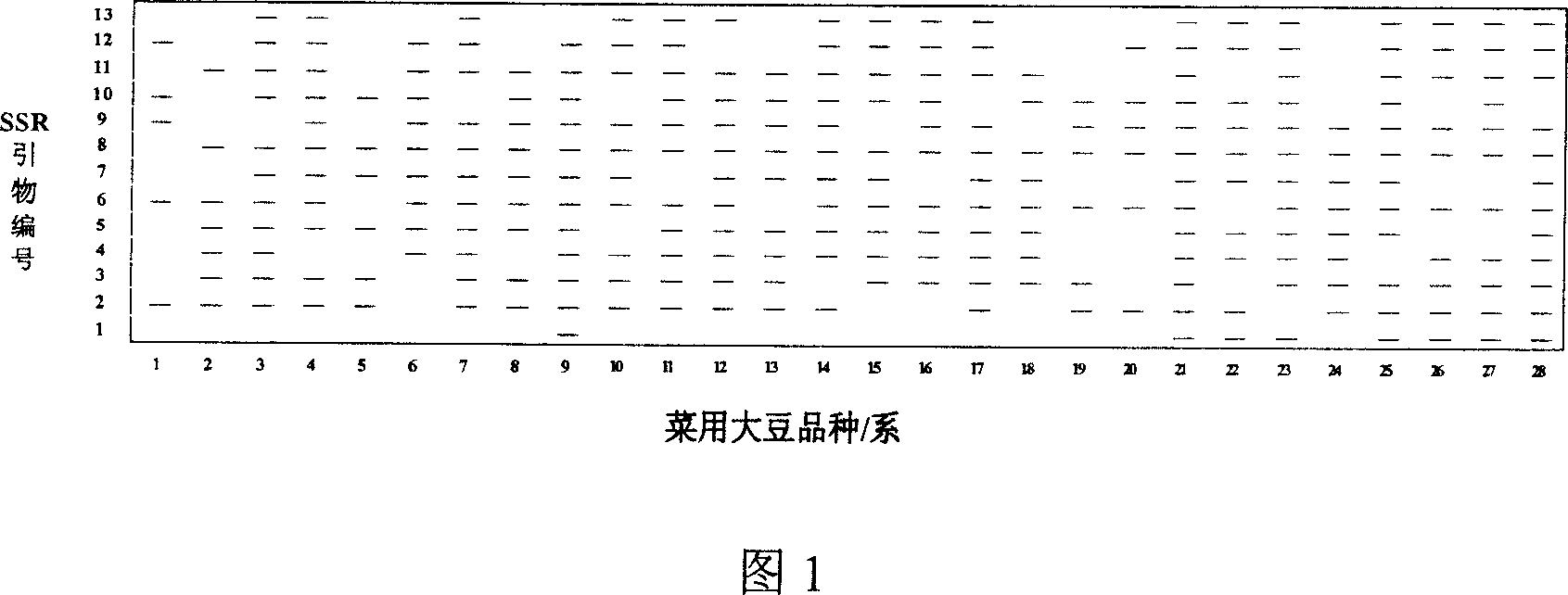 Vegetable soy bean DNA finger print map and its construction method and use