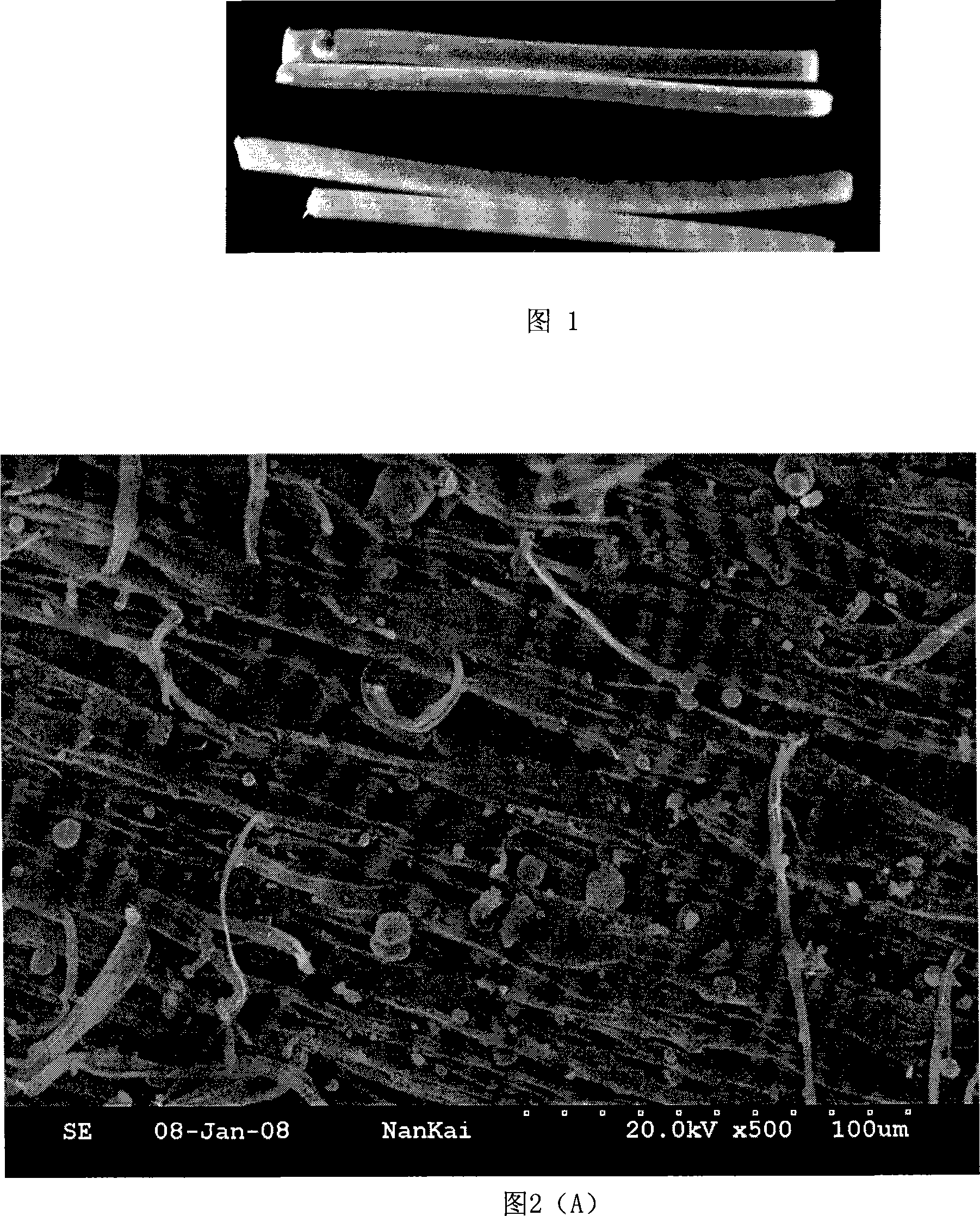 Modified starch/lactic acid oligomer reactivity blended full biological decomposition plastics and preparation thereof