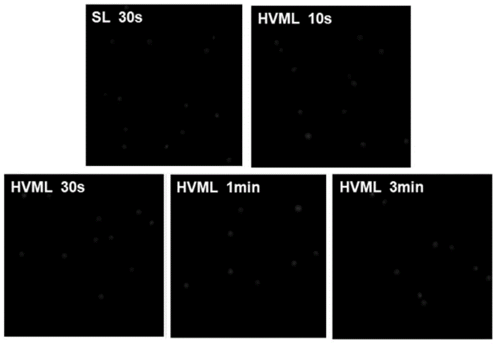 A method for single-cell gel electrophoresis of algal cells