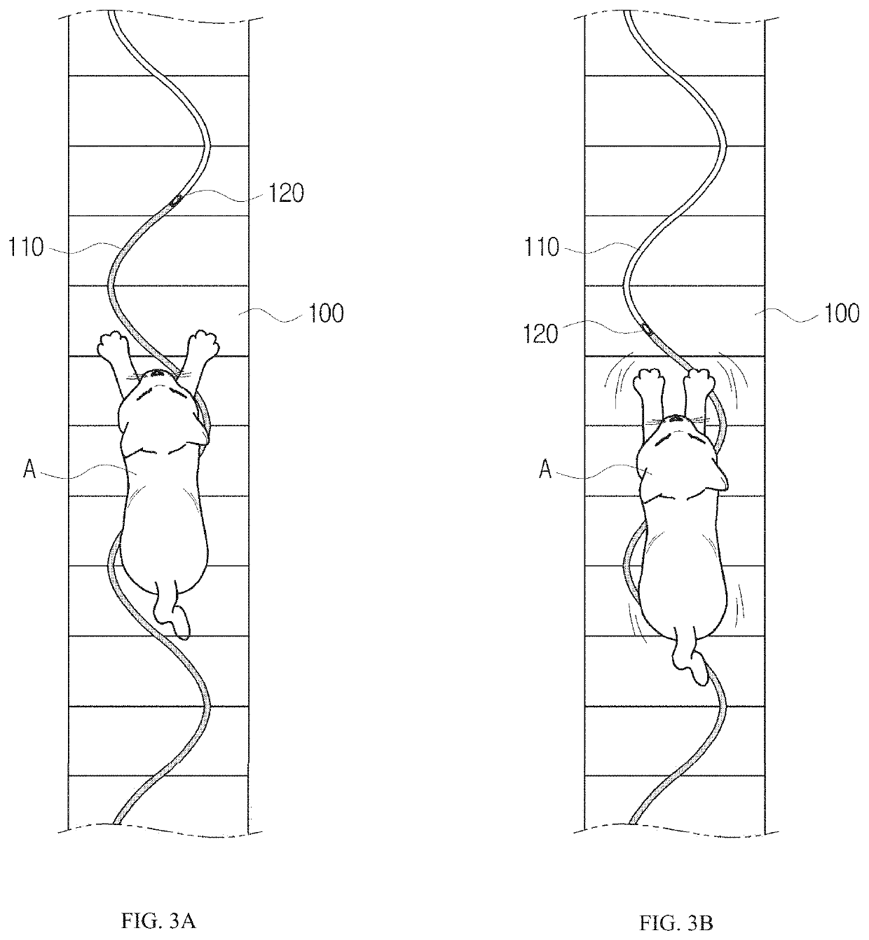 Pet exercise apparatus