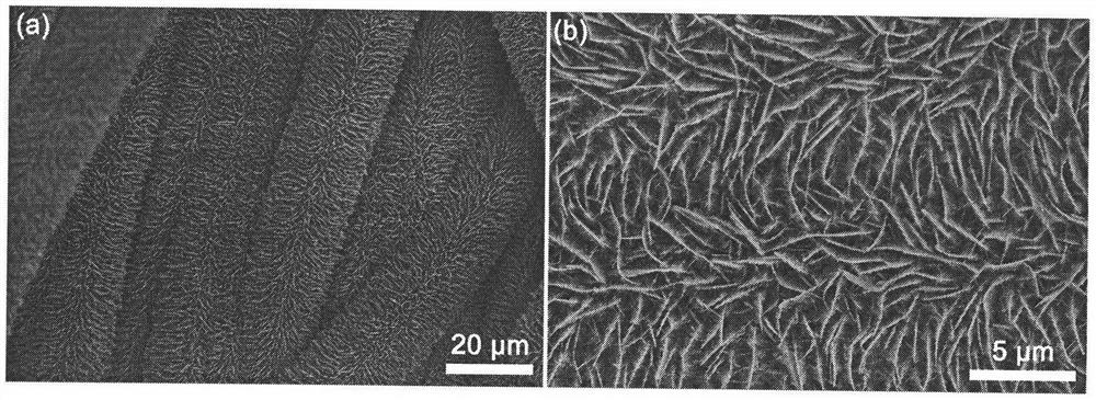 Tin selenide nanosheet array/carbon cloth composite negative electrode material structure for sodium ion battery
