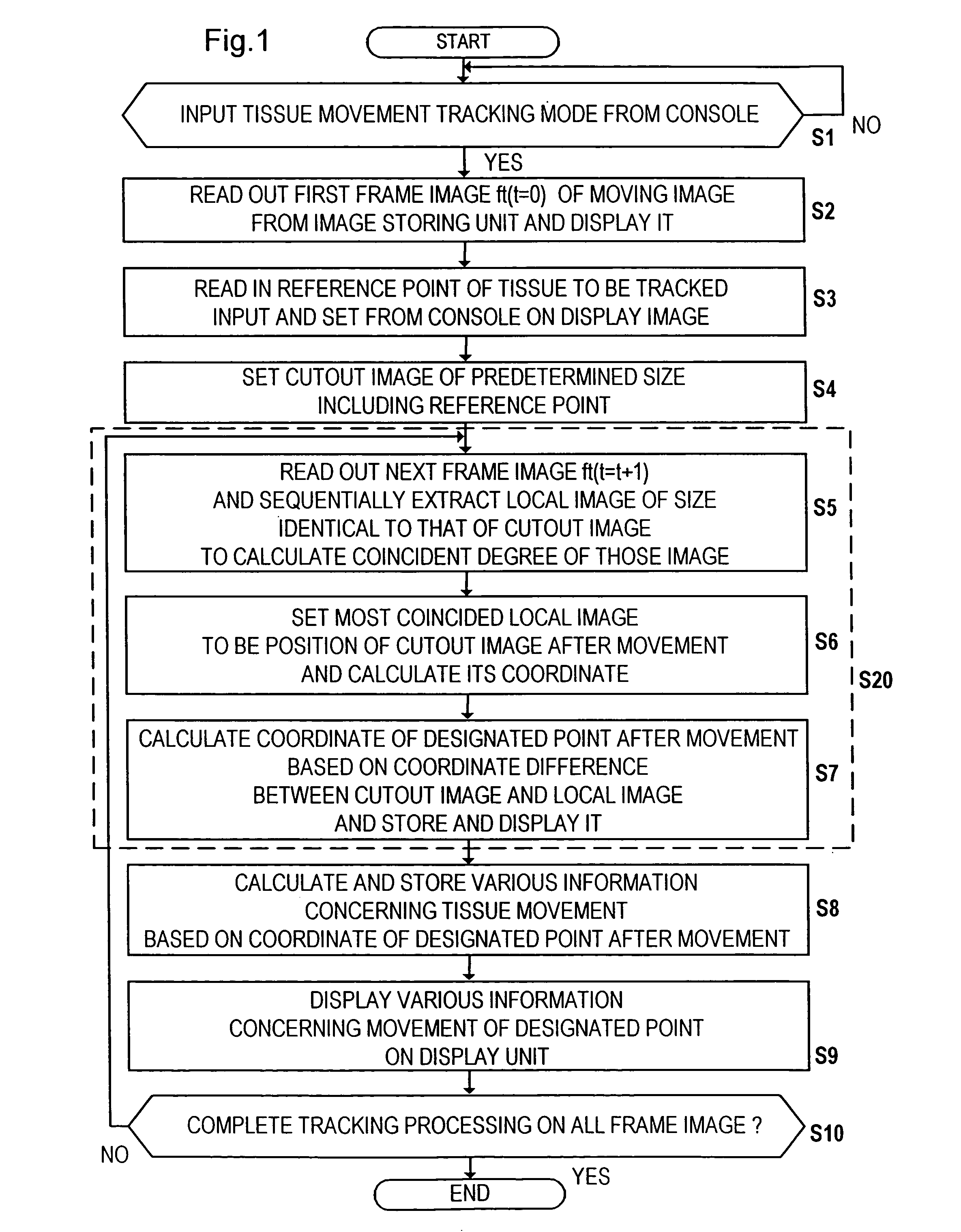 Biological tissue motion trace method and image diagnosis device using the trace method