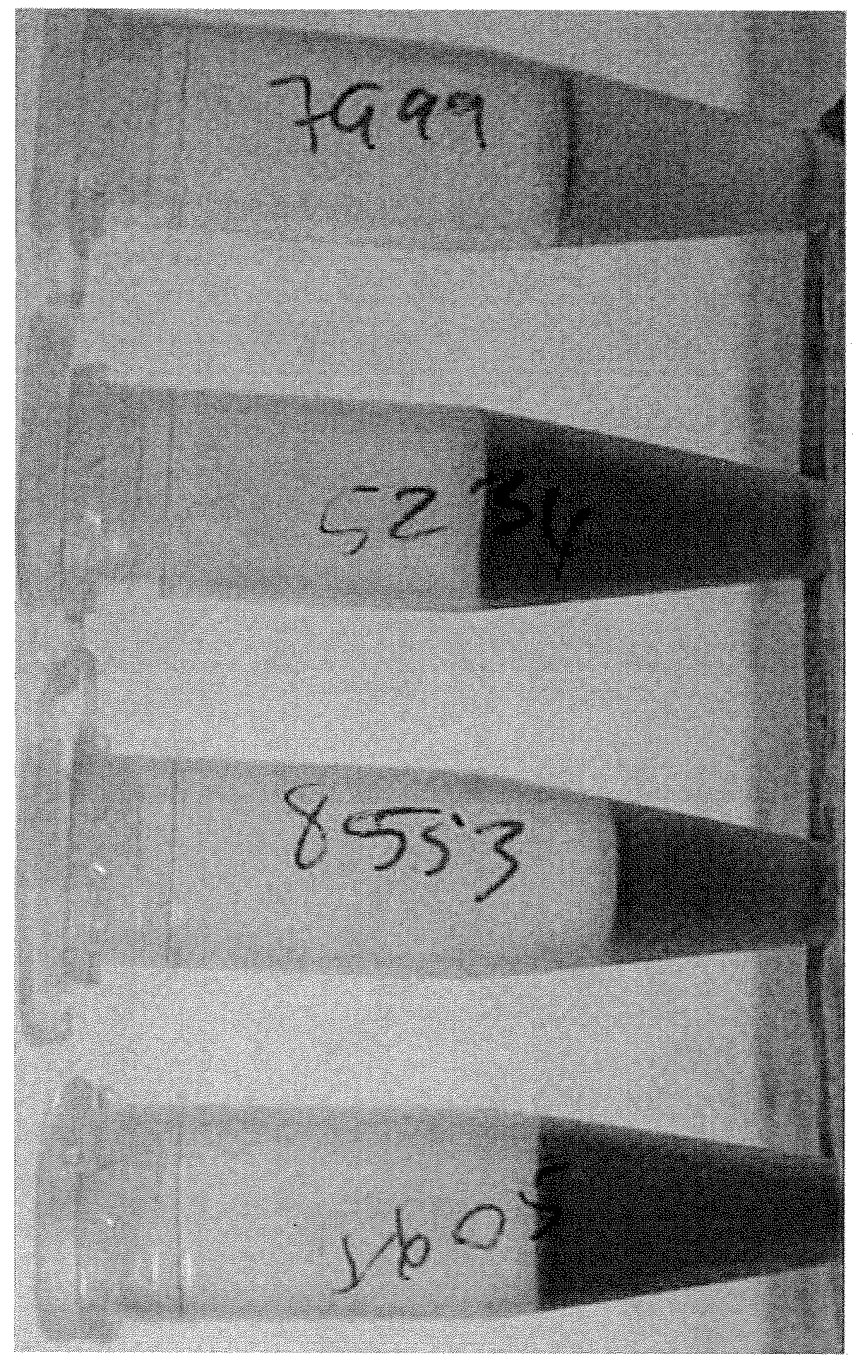 Method of modifying the immune response