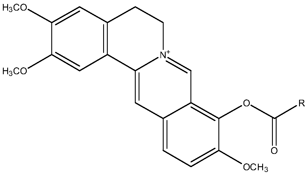 Palmatine derivatives and application thereof to preparation of anti-alzheimer-disease medicament