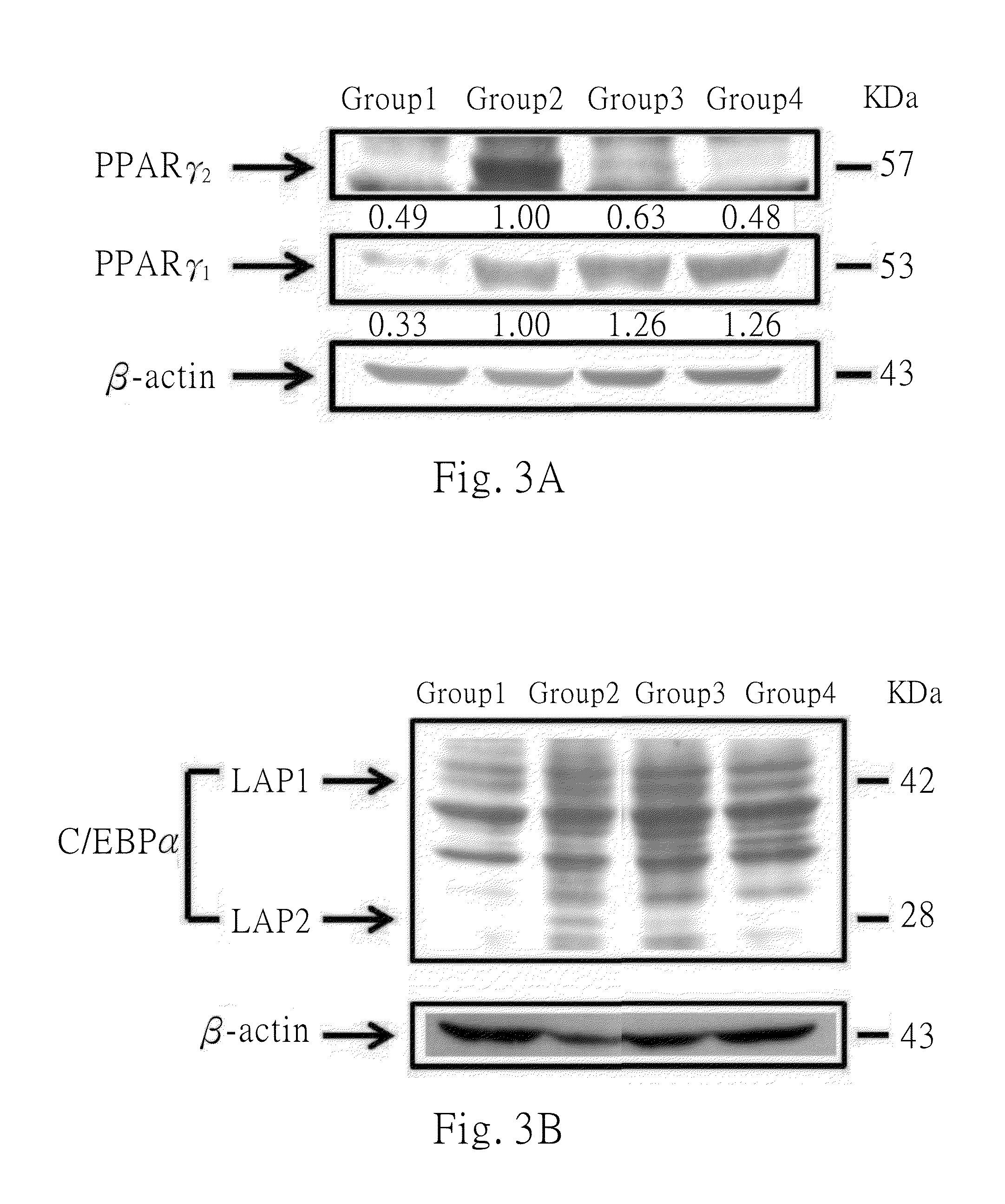 Uses of hydroxyl polymethoxylflavones (HPMFs) and derivatives thereof