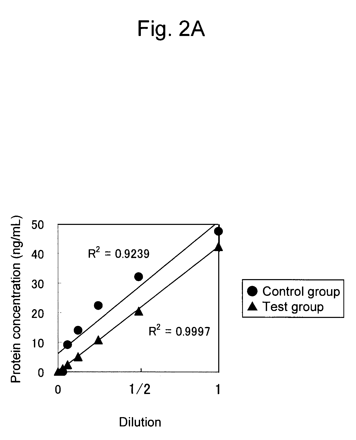 Highly sensitive method for detecting protein in food