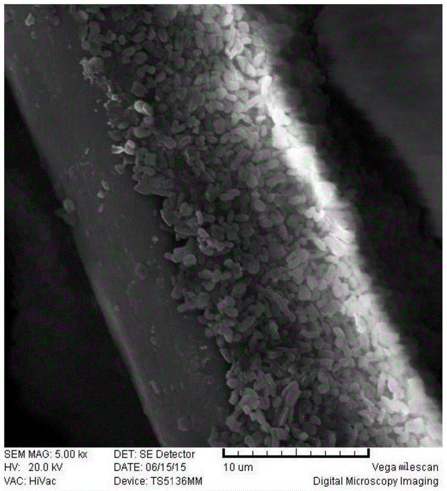 Preparation method for improved electronic cigarette flocculent filler fiber