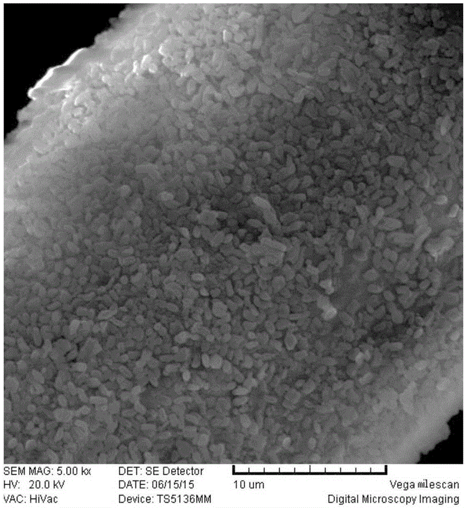 Preparation method for improved electronic cigarette flocculent filler fiber