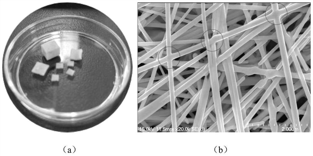 Nano metal airgel sterilizing filter material and preparation method thereof, and protective mask