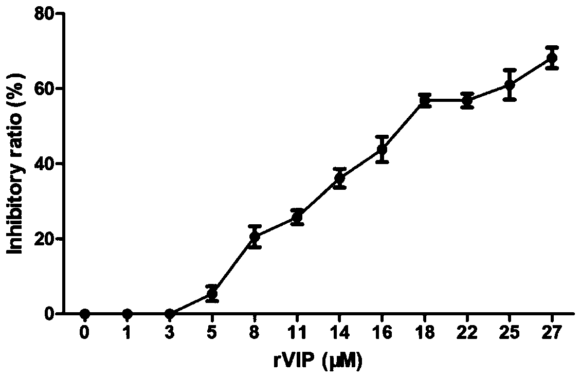 Multifunctional compound microecological preparation nano-selenium-recombination expression VIP (vasoactive intestinal peptide)-lactococcus lactis and preparation method