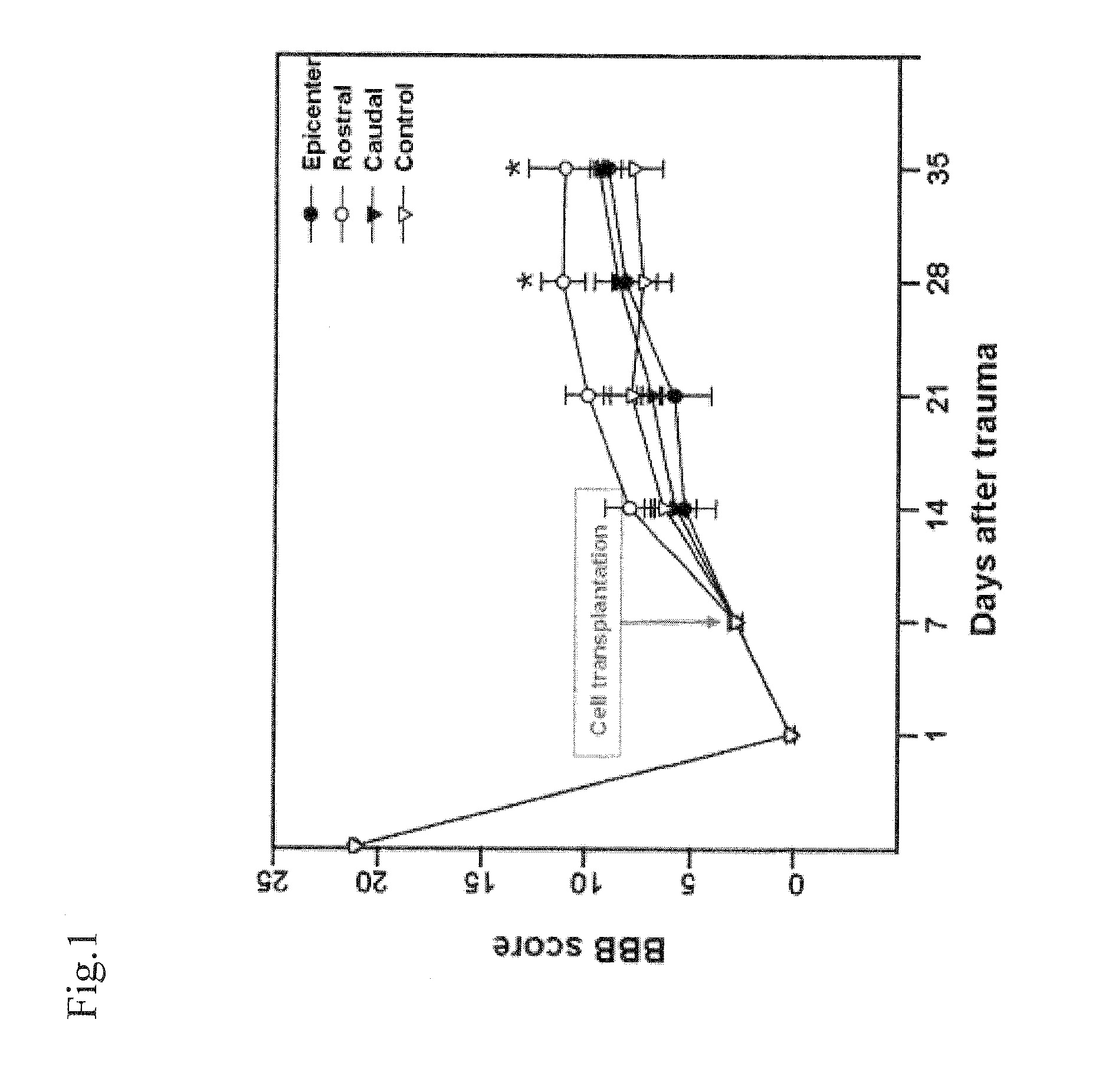 Composition for treating a disease caused by neuronal insult comprising a human umbilical cord blood-derived mesenchymal stem cell as an active ingredient
