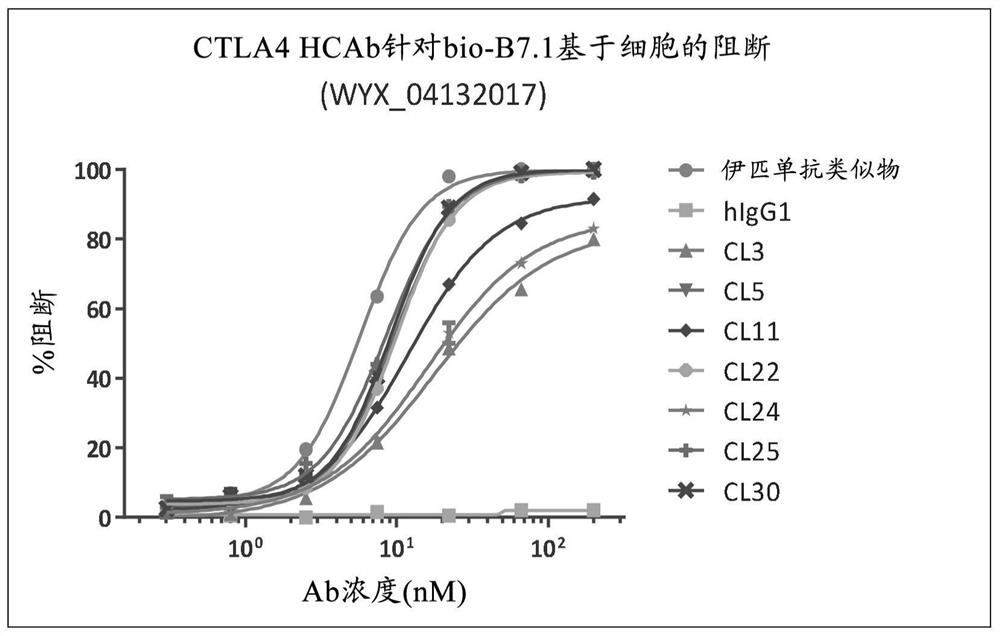 Antibodies binding ctla-4 and uses thereof