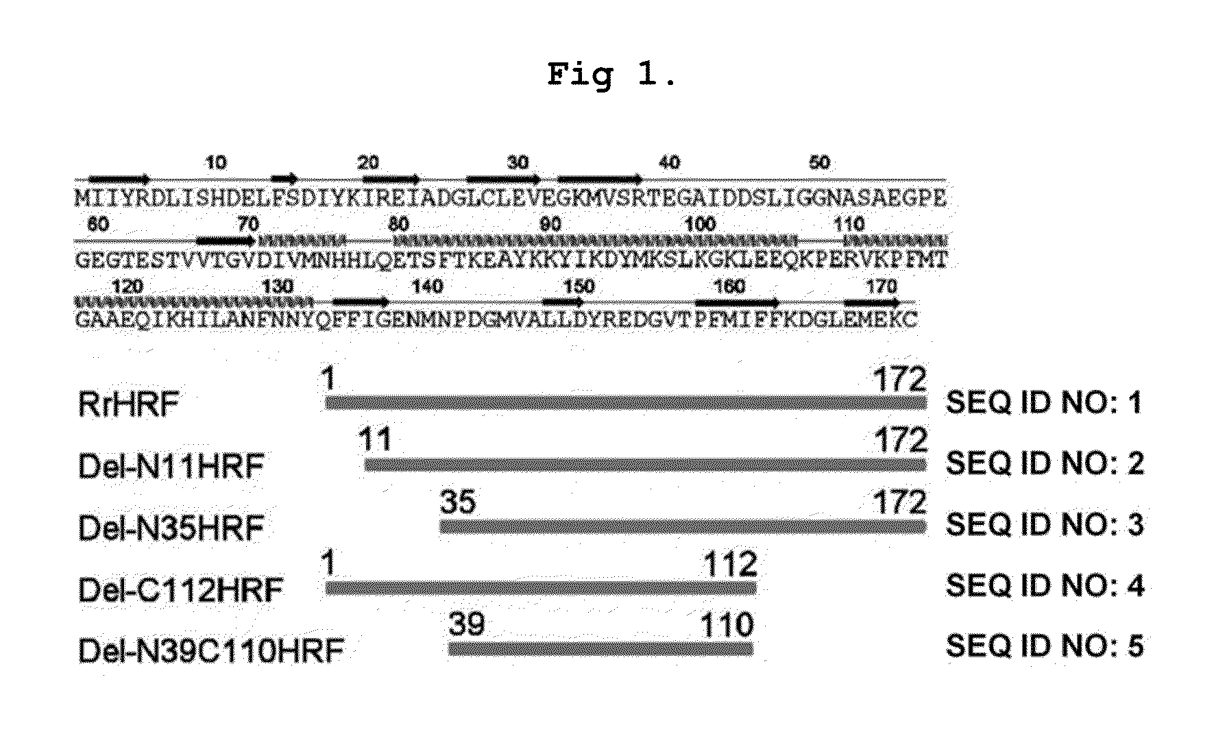 Deletion forms of IGE-dependent histamine releasing factor having histamine releasing activity, HRF-binding peptides and the uses thereof