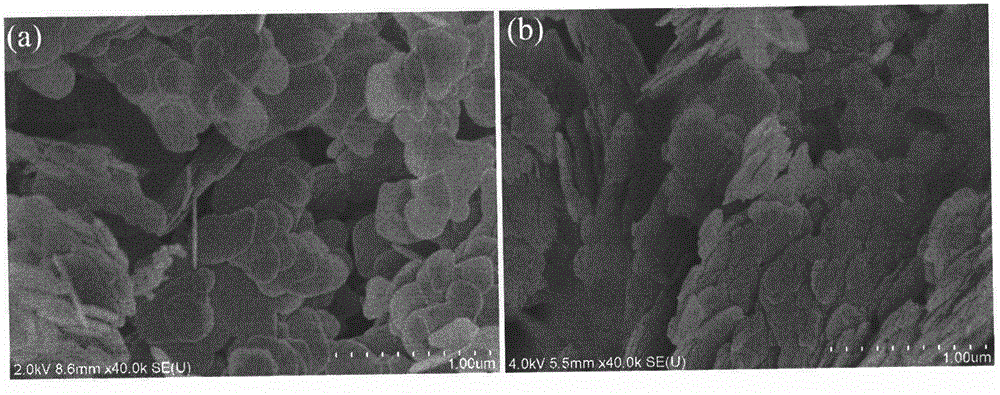 Black bismuth oxybromide photocatalyst and preparation method thereof