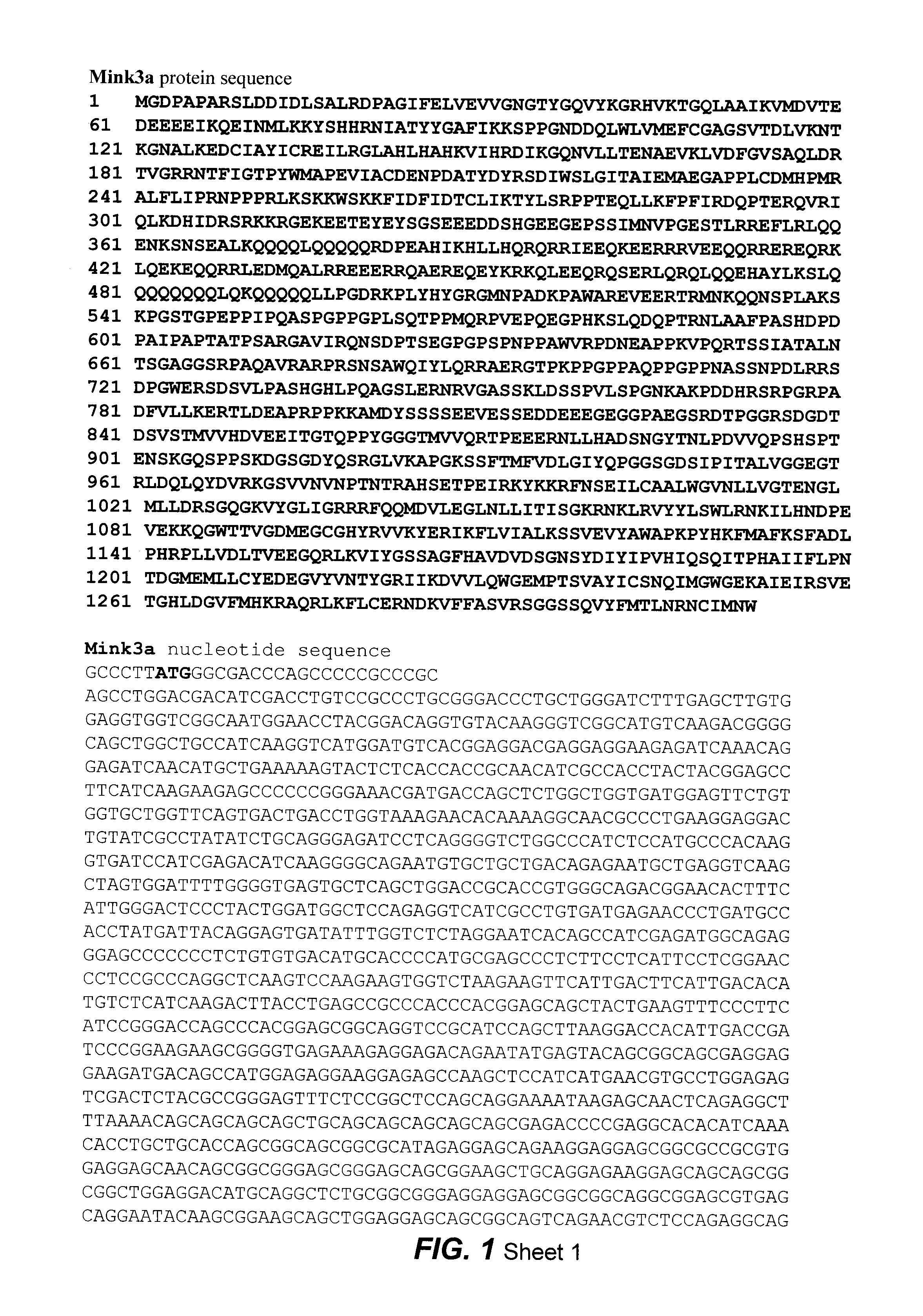 Germinal center kinase proteins, compositions and methods of use
