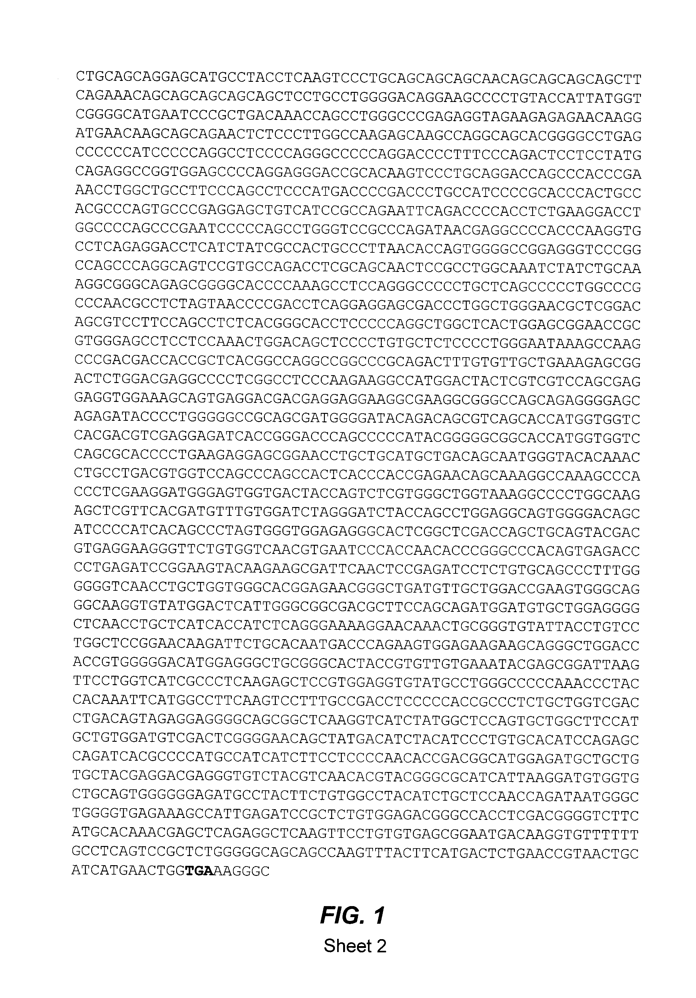 Germinal center kinase proteins, compositions and methods of use