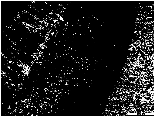 Welding method of v-n microalloyed q550d plate without preheating before welding and without heat treatment after welding