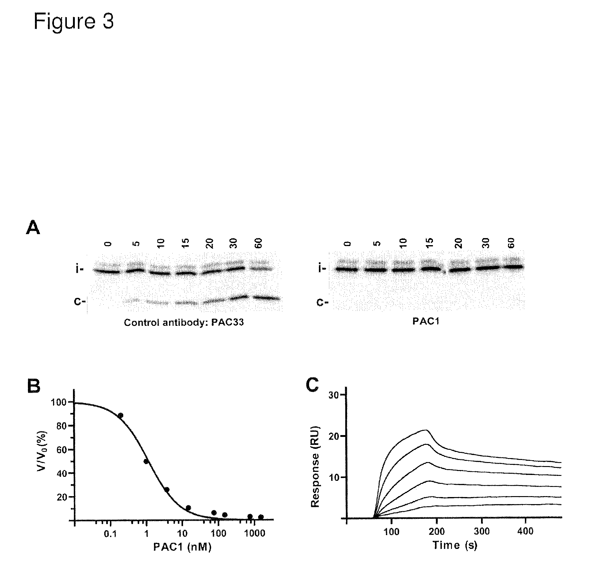 Selective exosite inhibition of PAPP-A activity against IGFBP-4