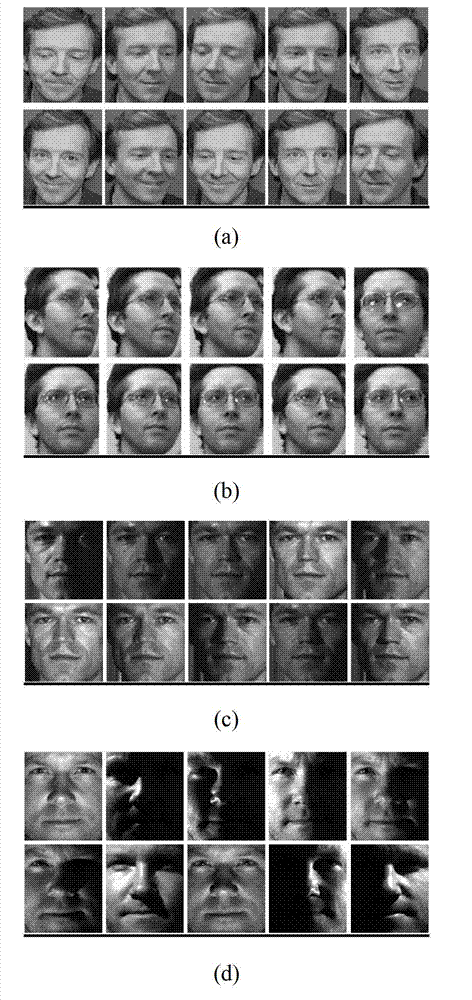 Image classification method based on characteristic weight learning and nuclear sparse representation