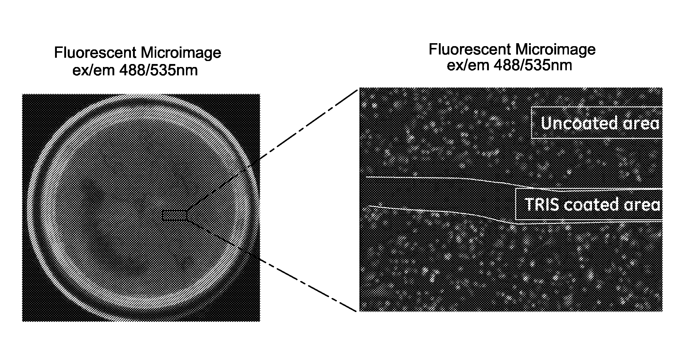 Non bio-adhesive polymer coating composition, articles and devices thereof