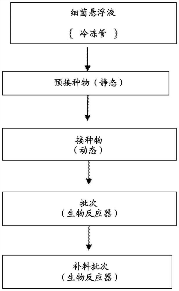 Process for production, recovery and purification of capsular polysaccharide polyribosyl-ribitol-phosphoric acid (PRP) and uses thereof