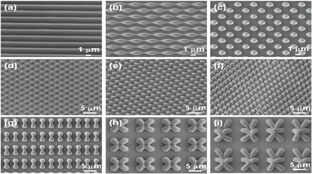 A metal support with micro-nano structure on the surface
