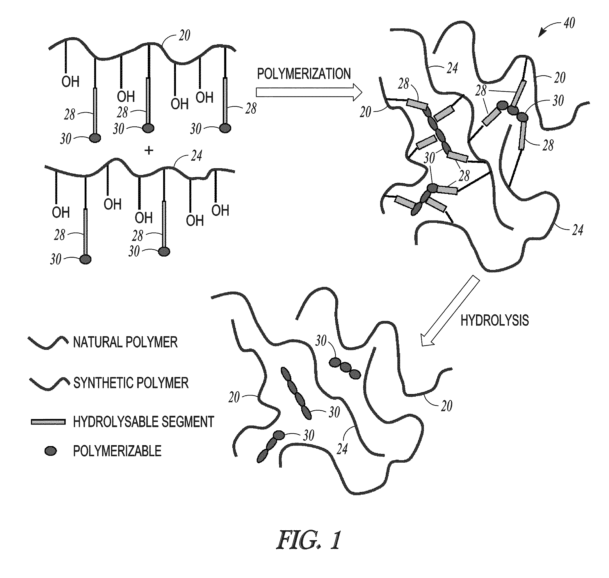 Hydrogel-forming composition comprising natural and synthetic segments