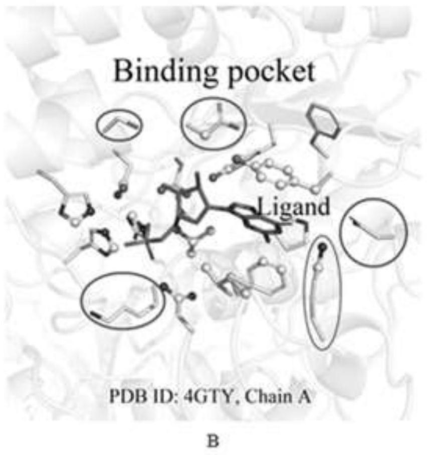 Identification of key flexible amino acids in the binding pocket of small protein molecules