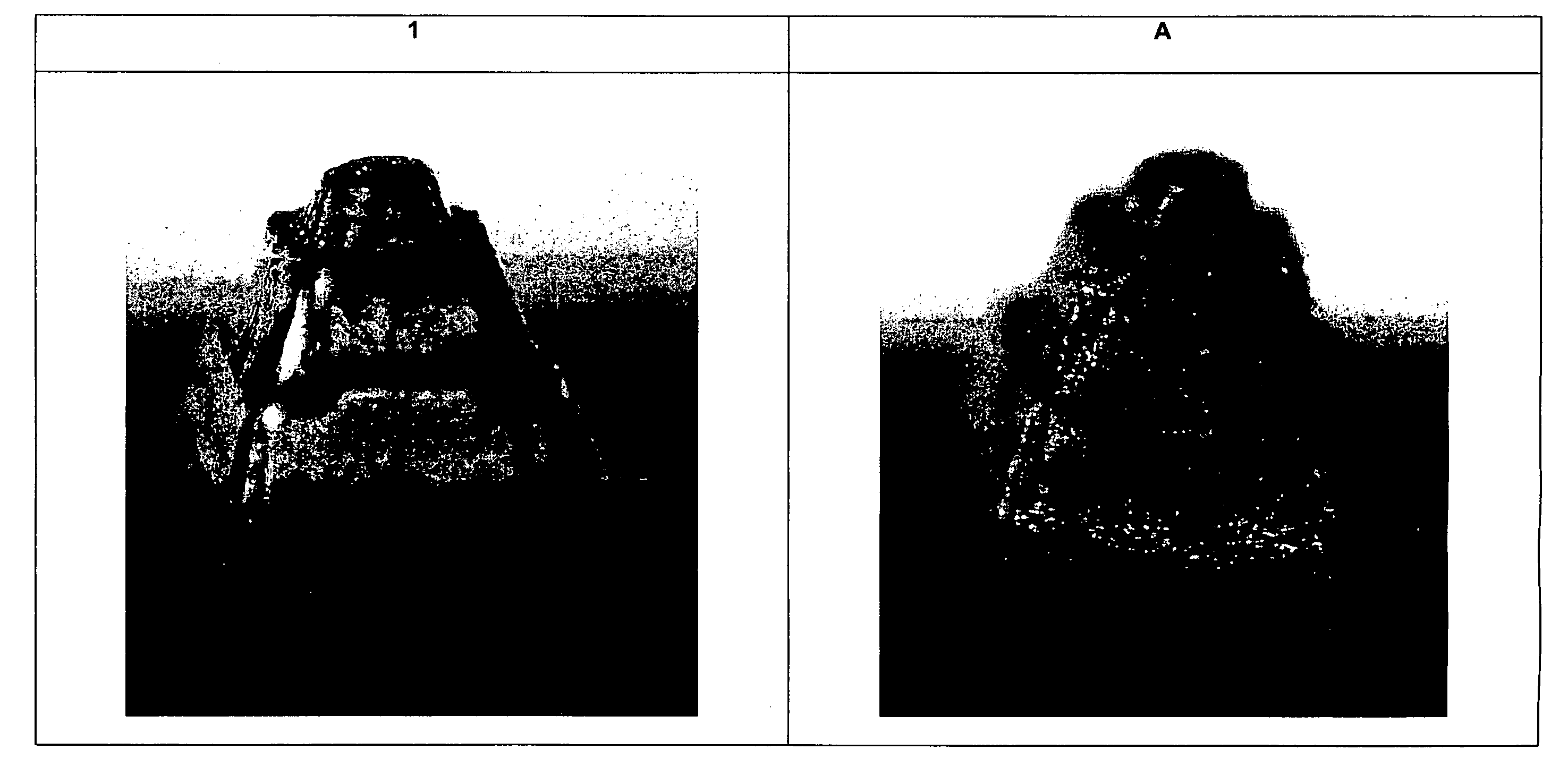 Laser-engravable flexographic printing element containing a conductive carbon black and method for production of flexographic printing forms